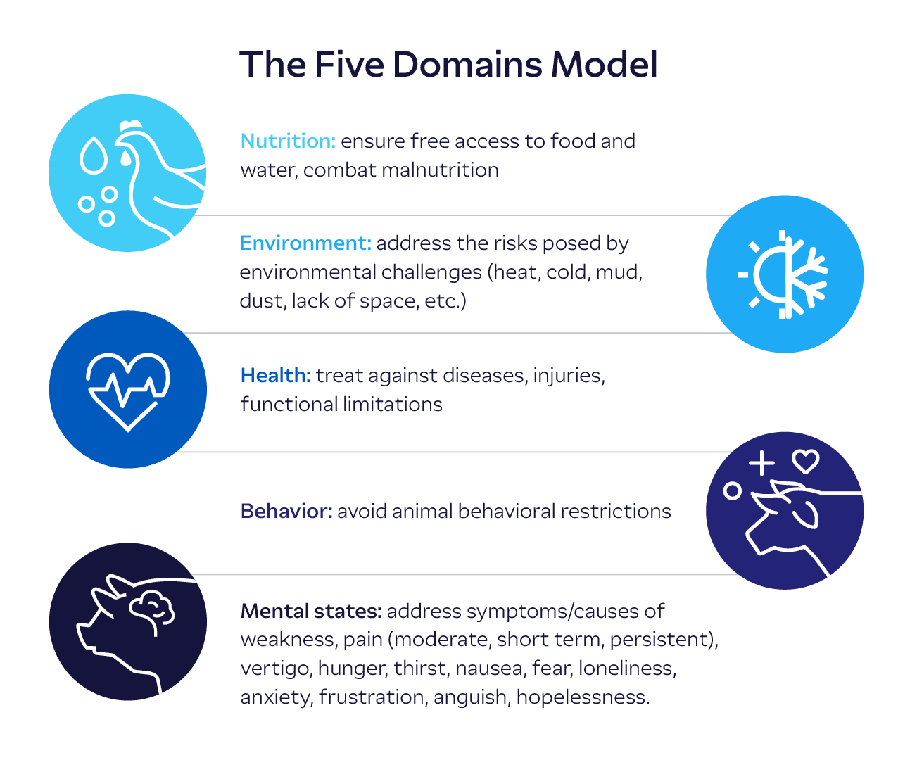 55_The-Five-Domains